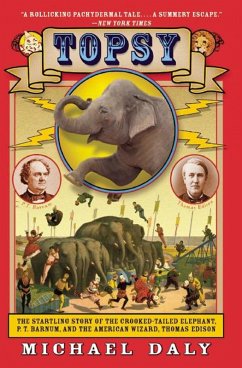 Cover Topsy (eBook, ePUB)