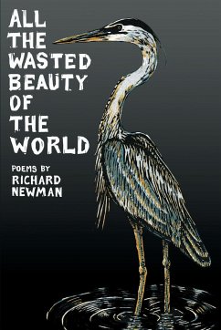 All the Wasted Beauty of the World - Poems - Newman, Richard
