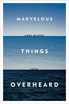 Cover Marvelous Things Overheard (eBook, ePUB)
