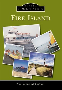 Fire Island (eBook, ePUB) Cover Fire Island (eBook, ePUB)