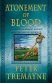 Atonement of Blood (eBook, ePUB)