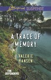 A Trace Of Memory (eBook, ePUB)