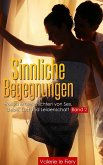 Sinnliche Begegnungen - Band 2 (eBook, ePUB)