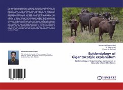 Epidemiology of Gigantocotyle explanatum