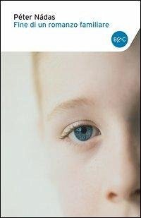 Fine di un romanzo familiare Cover Fine di un romanzo familiare