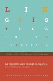 La excepción en la gramática española (eBook, ePUB)