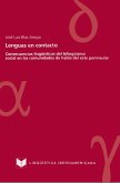 Lenguas en contacto (eBook, ePUB)