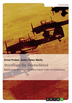Sturzflüge für Deutschland (eBook, ePUB)