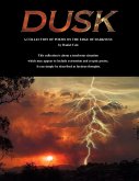 Dusk (eBook, ePUB)