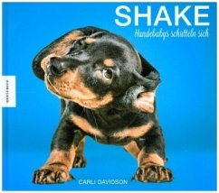 Shake - Hundebabys schütteln sich - Davidson, Carli