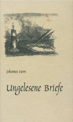 Ungelesene Briefe (eBook, ePUB) - Horn, Johannes