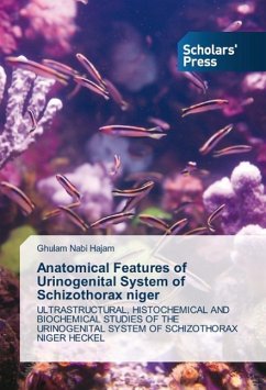 Anatomical Features of Urinogenital System of Schizothorax niger - Hajam, Ghulam Nabi