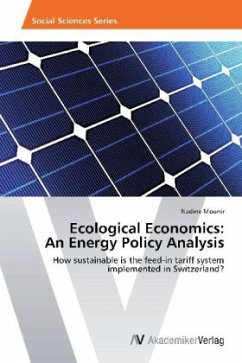 Ecological Economics: An Energy Policy Analysis