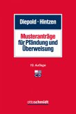 Musteranträge für Pfändung und Überweisung, m. CD-ROM