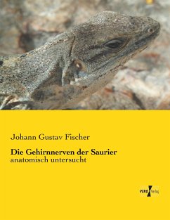 Die Gehirnnerven der Saurier - Fischer, Johann Gustav