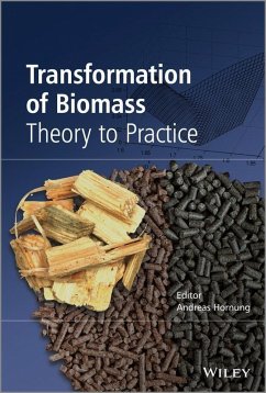 Transformation of Biomass (eBook, PDF) - Hornung, Andreas