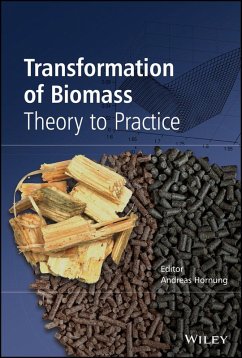 Transformation of Biomass (eBook, ePUB) - Hornung, Andreas
