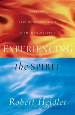 Experiencing the Spirit (eBook, ePUB) - Heidler, Robert