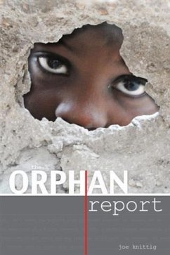 Orphan Report (eBook, ePUB) - Knittig, Joe