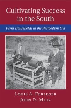 Cultivating Success in the South (eBook, PDF) - Ferleger, Louis A.