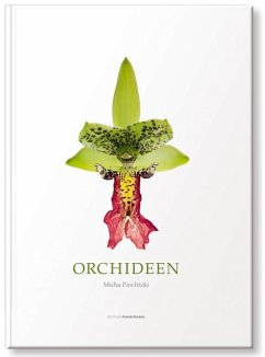 Orchideen - Pawlitzki, Michael