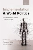 Implementation and World Politics (eBook, PDF)