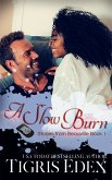 A Slow Burn (eBook, ePUB)