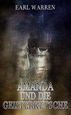 Amanda und die Geisterkutsche (eBook, ePUB)