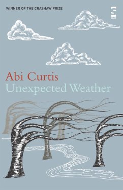 Unexpected Weather (eBook, ePUB) - Curtis, Abi