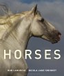 Horses (eBook, ePUB) - Bild 1