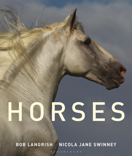 Horses (eBook, ePUB)