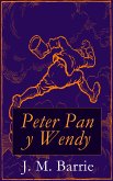 Peter Pan y Wendy (eBook, ePUB)