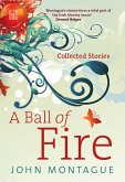 A Ball of Fire (eBook, ePUB)