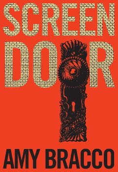 Screen Door (eBook, ePUB) - Bracco, Amy
