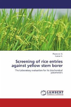 Screening of rice entries against yellow stem borer