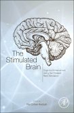 The Stimulated Brain