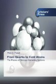 From Quarks to Cold Atoms