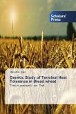 Genetic Study of Terminal Heat Tolerance in Bread wheat