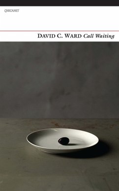 Call Waiting (eBook, ePUB) - Ward, David C.