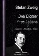 Drei Dichter ihres Lebens (eBook, ePUB) - Bild 1
