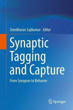 Synaptic Tagging and Capture