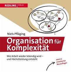 Organisation für Komplexität - Pfläging, Niels