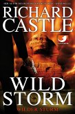 Wild Storm - Wilder Sturm / Derrick Storm Bd.2 (eBook, ePUB)