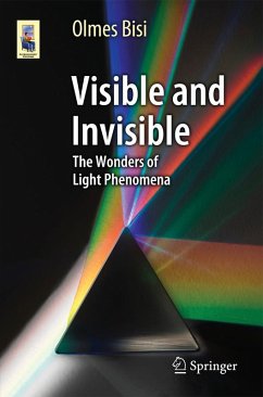 Visible and Invisible - Bisi, Olmes