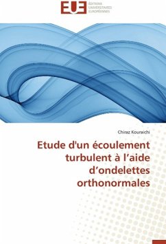 Etude d'un écoulement turbulent à l¿aide d¿ondelettes orthonormales - Kouraichi, Chiraz