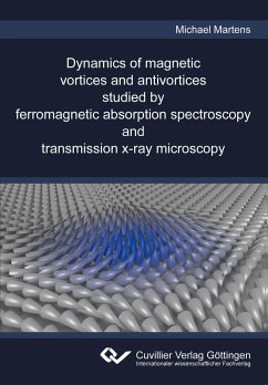 Dynamics of magnetic vortices and antivortices studied by ferromagnetic absorption spectroscopy and transmission x-ray microscopy - Martens, Michael