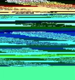 2013 Precious Seeds (eBook, ePUB)