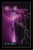 Clandestine Family (eBook, ePUB)