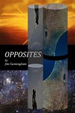 Opposites (eBook, ePUB)