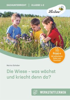 Die Wiese - was wächst und kriecht denn da? - Schober, Marina